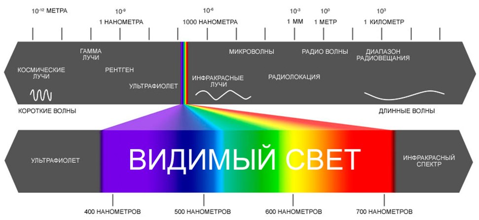 Диапазон видимого человеком спектра длин волн 