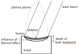Схема лазерно-индуцированных модификаций на поверхности древесины.