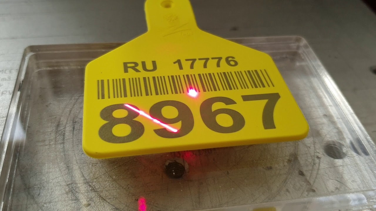 Нанесение лазерной маркировки на пластиковую бирку