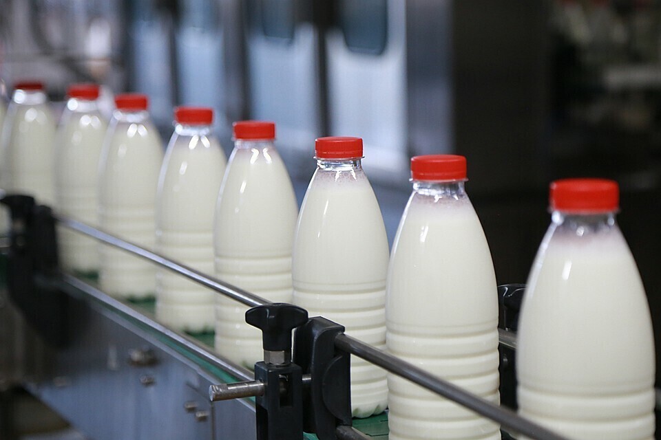 Процесс маркировки молочной продукции 